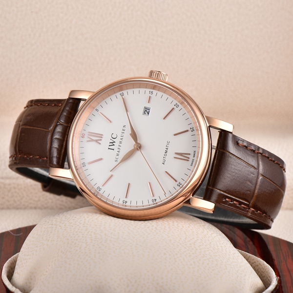 アイ・ダブリュー・シー背面デザイン